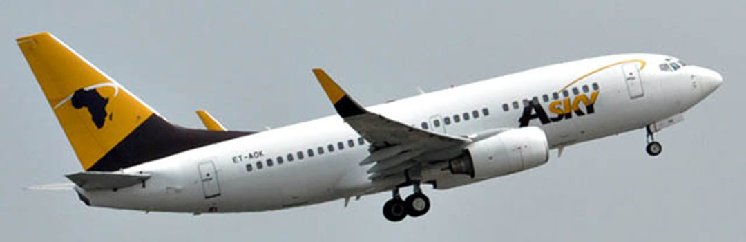 Banner 3